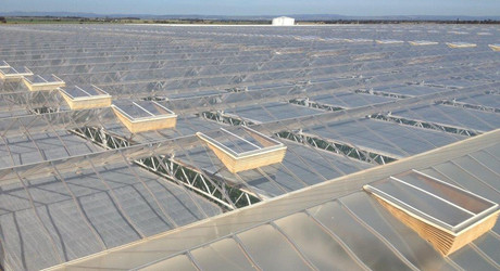 Ultra-Clima® greenhouse for D’Vine Ripe