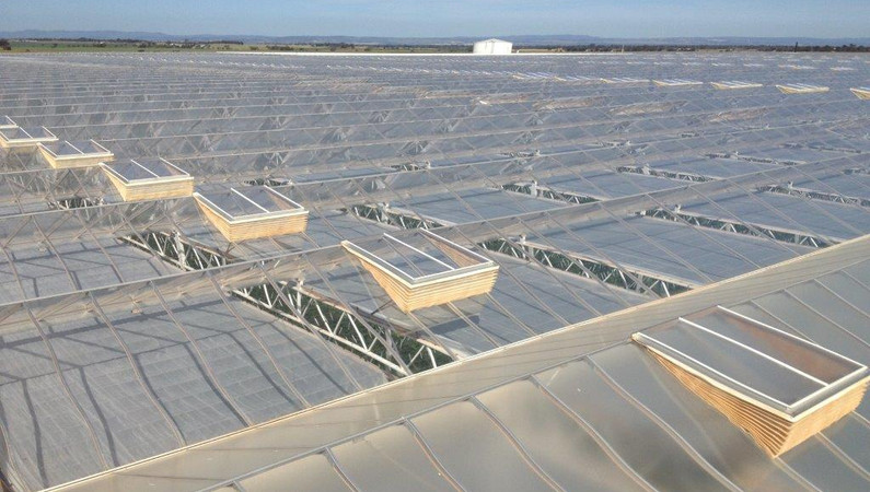 Ultra-Clima® greenhouse for D’Vine Ripe