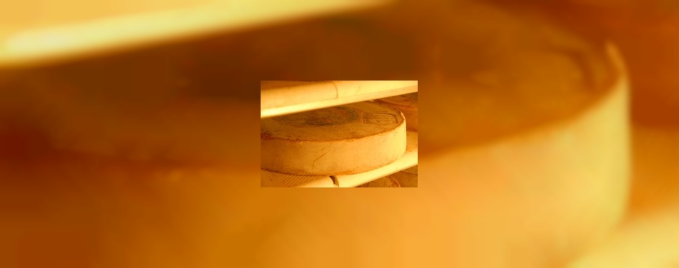 FrieslandCampina richt zich op kaas