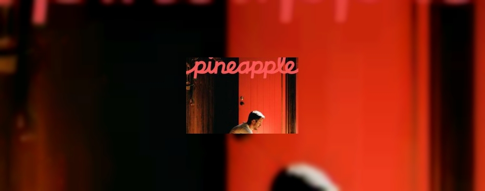 Airbnb lanceert magazine Pineapple