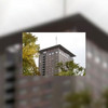 77.000 euro schade na vernielen suite Okura hotel