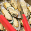 Voorzorgsmaatregelen mosselen en oesters Oosterschelde