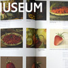 Rijksmuseum lanceert kookboek