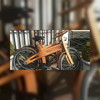 Banks Mansion biedt houten fietsen aan
