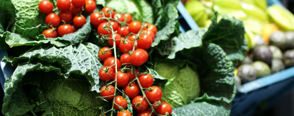 Voedseltop: Nederland koploper gezonde en duurzame voeding