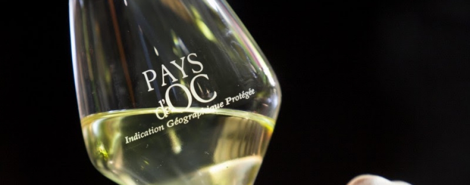Pays d’Oc pop-up wine bar voor 12 dagen in Odeon Amsterdam