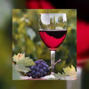 Franse wijnsector ziet export teruglopen
