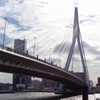 Rotterdams wafelrestaurant sluit drive-through vanwege drukte