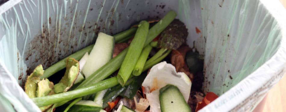 Food Waste City Challenge Den Haag: ruim 40% minder verspilling