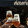 AB InBev lanceert sterk blond bier Victoria in Nederland