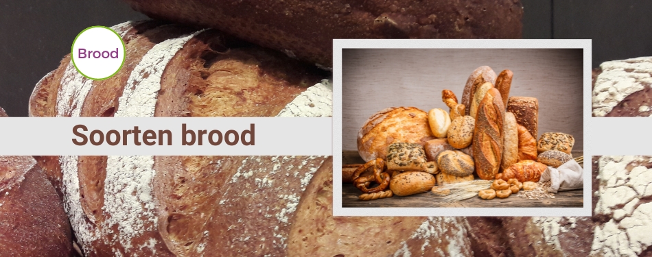 Ontdek de verschillende soorten brood voor jouw restaurant