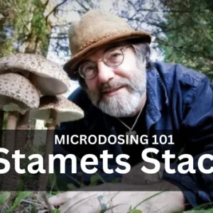 Paul Stamets' microdosing discovery: Stacking with Lion's Mane, niacin and truffles