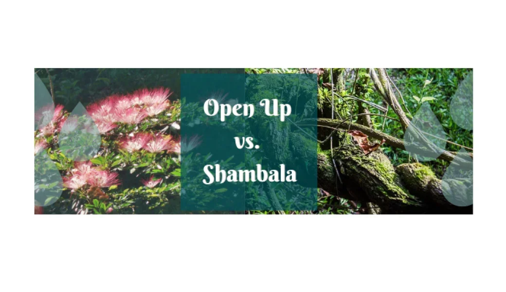 Shambala drops vs. Open Up: experiences and differences