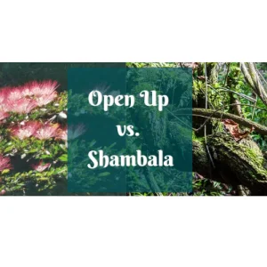 Shambala drops vs. Open Up: experiences and differences