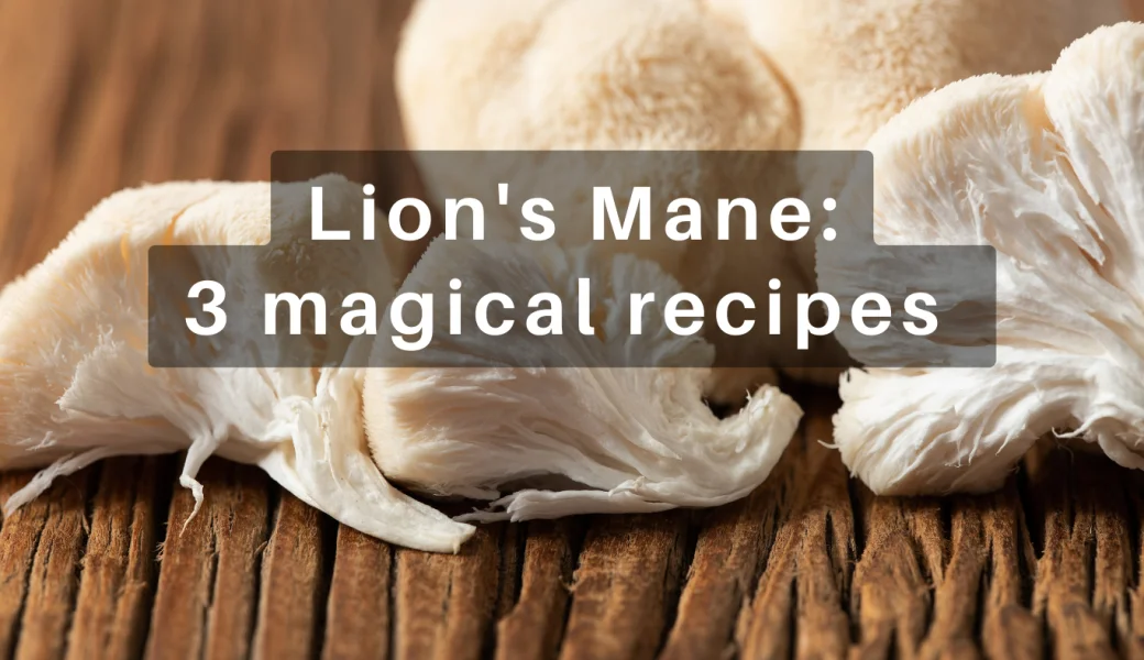 Discover the magic of Lion's Mane: 3 delicious recipes for a healthy mind