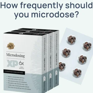 The 6 microdosing protocols - which one is best for you?
