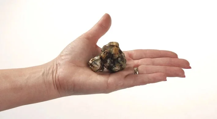 Microdose - Magic truffels 'Hollandia' 15 gram 