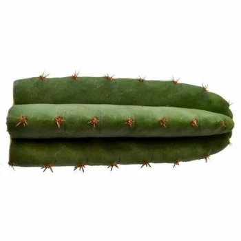 Microdose - San Pedro cactus (2 cuts) +-30 cm