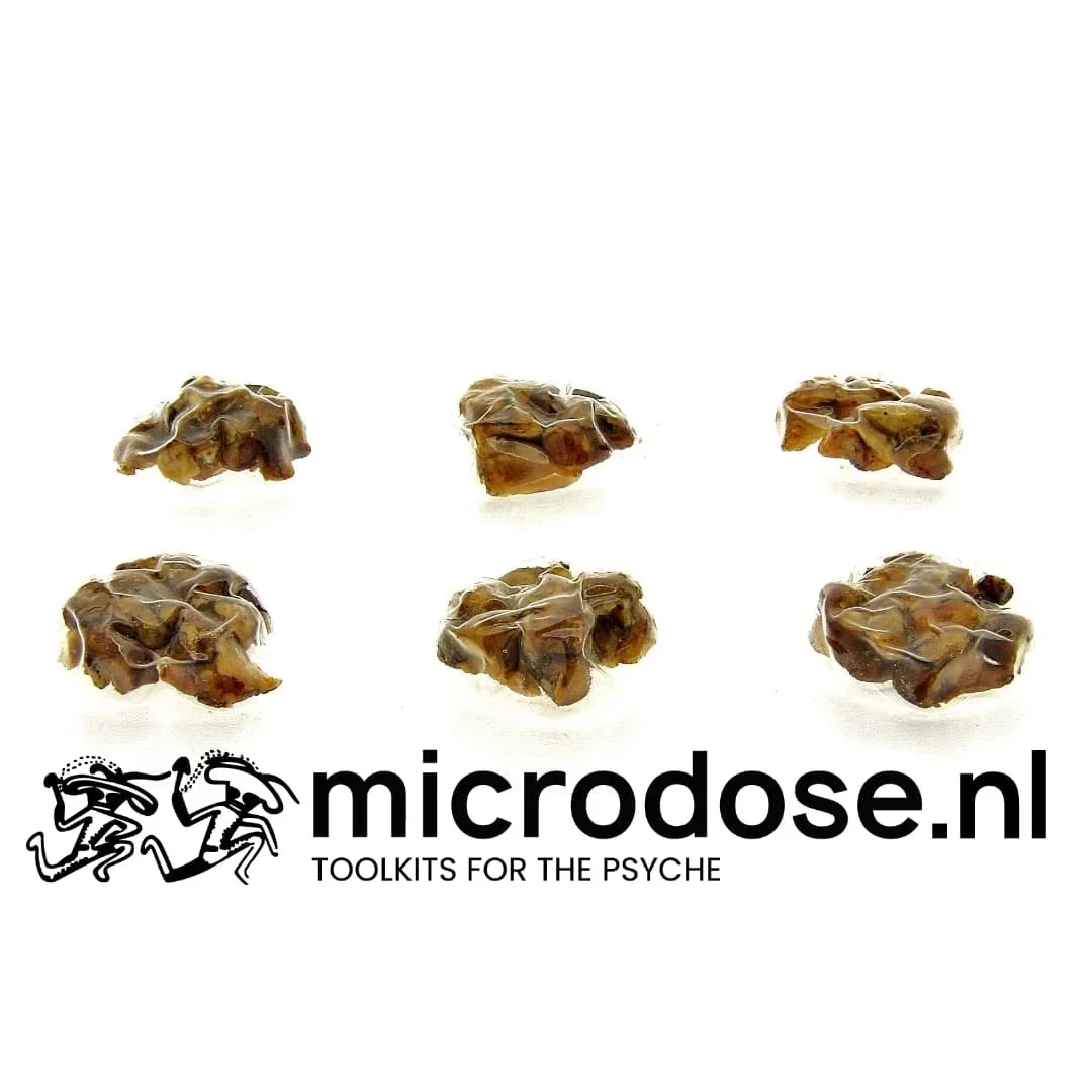 Microdose - Stamets Stack Lion's Mane Capsules + Microdosing XP Truffles +  Niacin