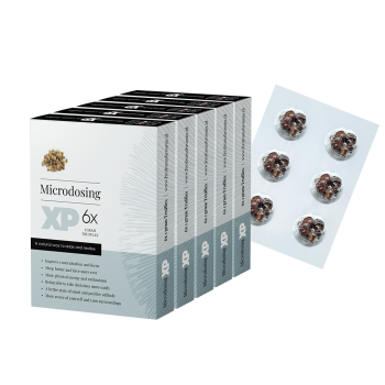 Microdose - 4x Microdosing XP truffles pack (24x1g)