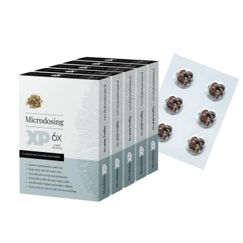 Microdose - 4x Microdosering XP truffels pack (24x1g)