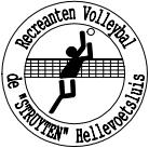 logo Volleybal De Struyten