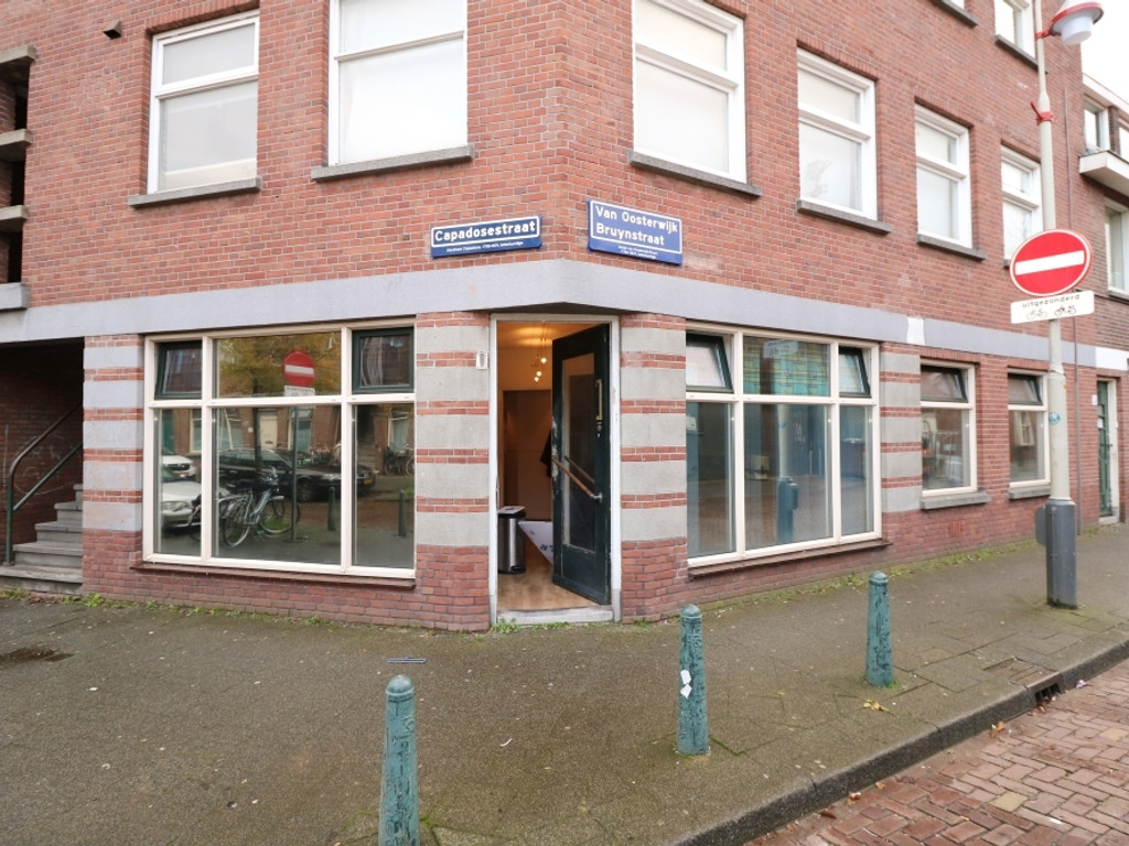 Van Oosterwijk Bruynstraat 32, 's-Gravenhage